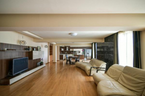 Central flat with Monster living room